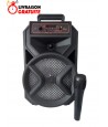 Haut Parleur Bluetooth - Radio FM - MP3 - 2000W PMPO DMSCMD