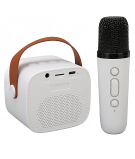 Haut Parleur Bluetooth Karaoke avec Microphone Sans Fil - CESAR K1 - 5W