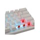 Clavier Gaming Mécanique WHITE SHARK WAKIZASHI - Blanc