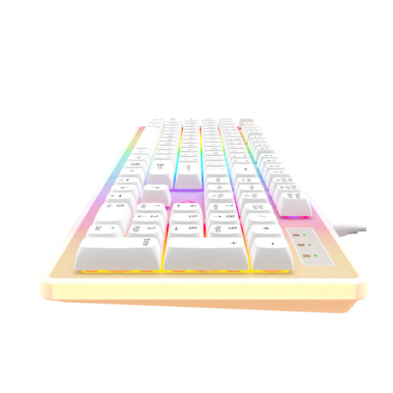 Clavier Gaming USB HAVIT Backlit KB876L RGB - Blanc