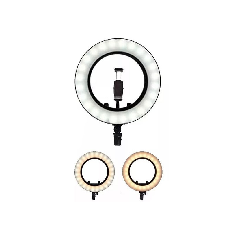 RING LIGHT LED QX-260 avec Trépied 2m