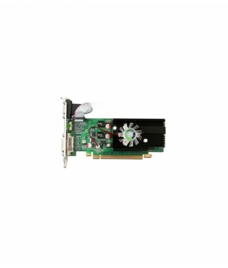 Carte graphique 1Go G 210 GeForce NVIDIA
