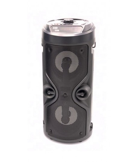 Haut Parleur Bluetooth - MP3 - Radio FM 12W