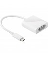 Adaptateur USB Type C 3.1 Mâle vers VGA Femelle