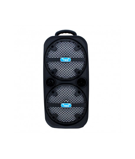 Haut Parleur Bluetooth - MP3 - Radio FM 50W - TT-2801
