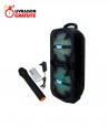 Haut Parleur Bluetooth - MP3 - Radio FM 50W - TT-2801