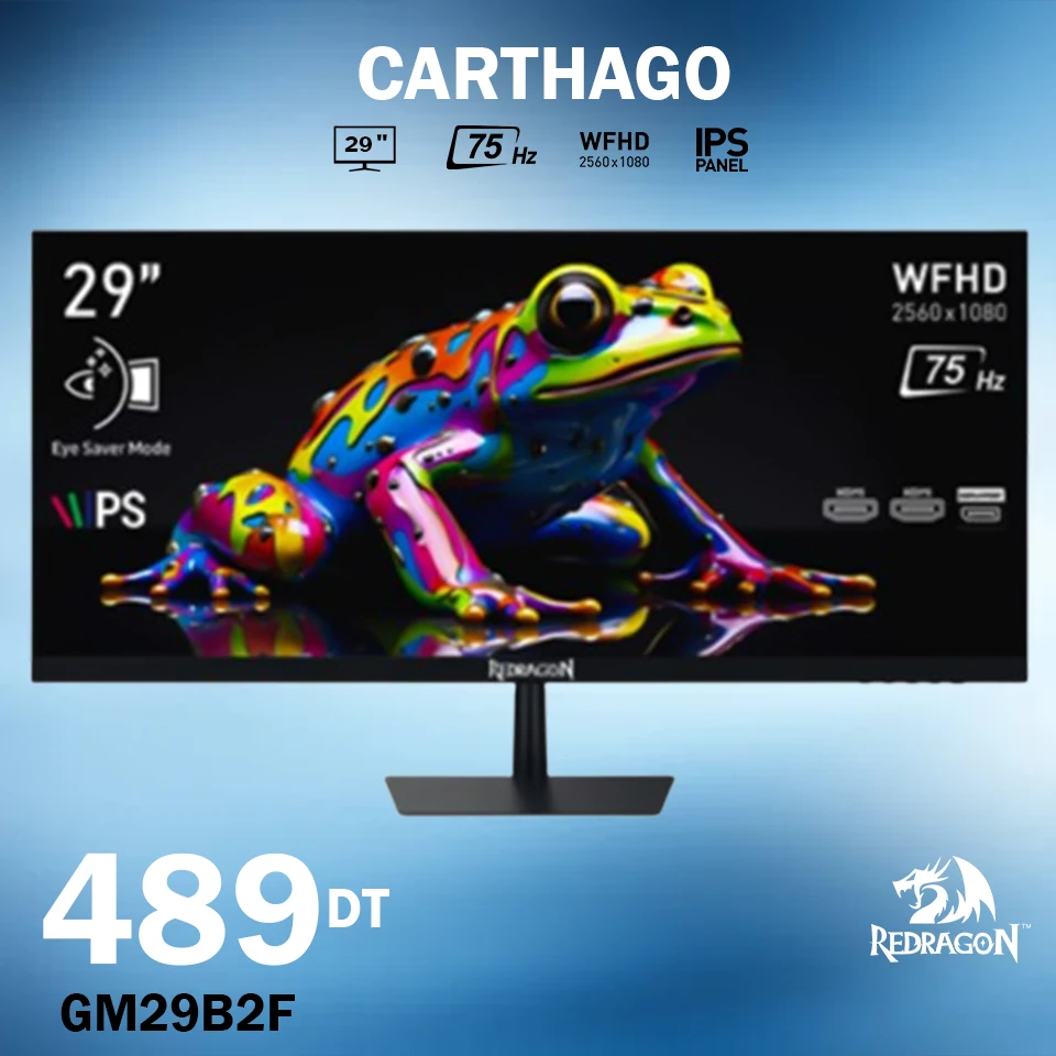Moniteur Gamer CARTHAGO Tunisie