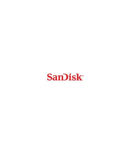 Sandisk