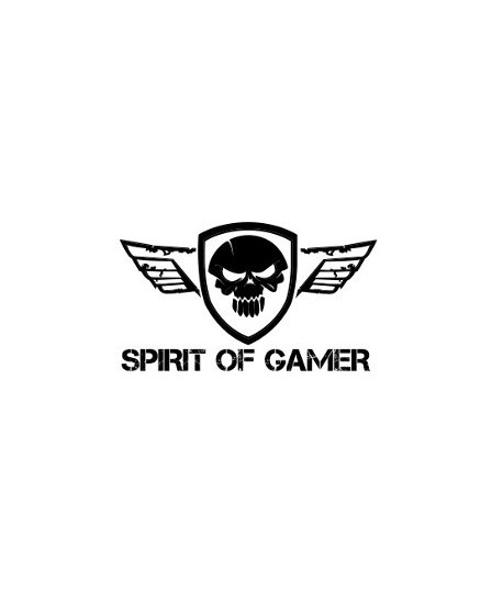 SPIRIT OF GAMER
