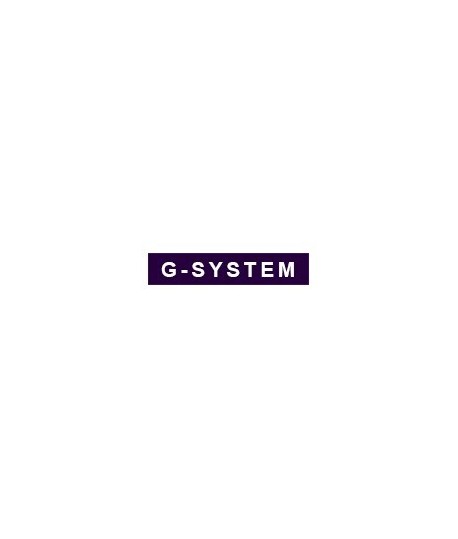 G-SYSTEM
